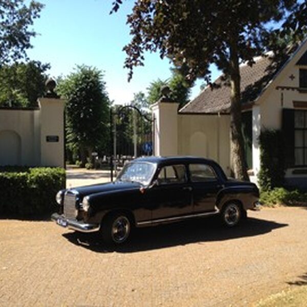Begraafplaatsen in onderhoud — foto 2